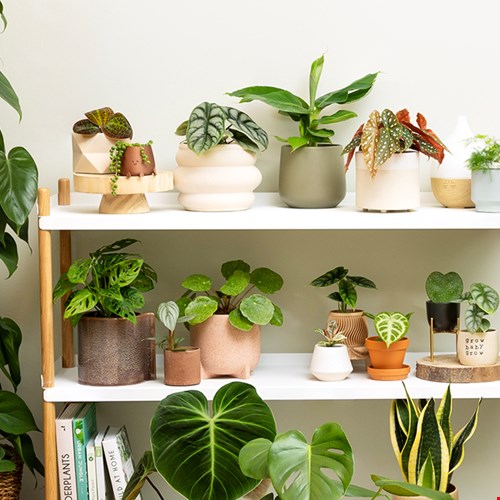 Sfeer geven aan je huis doe je zo! Sfeer geven aan je huis doe je zo!